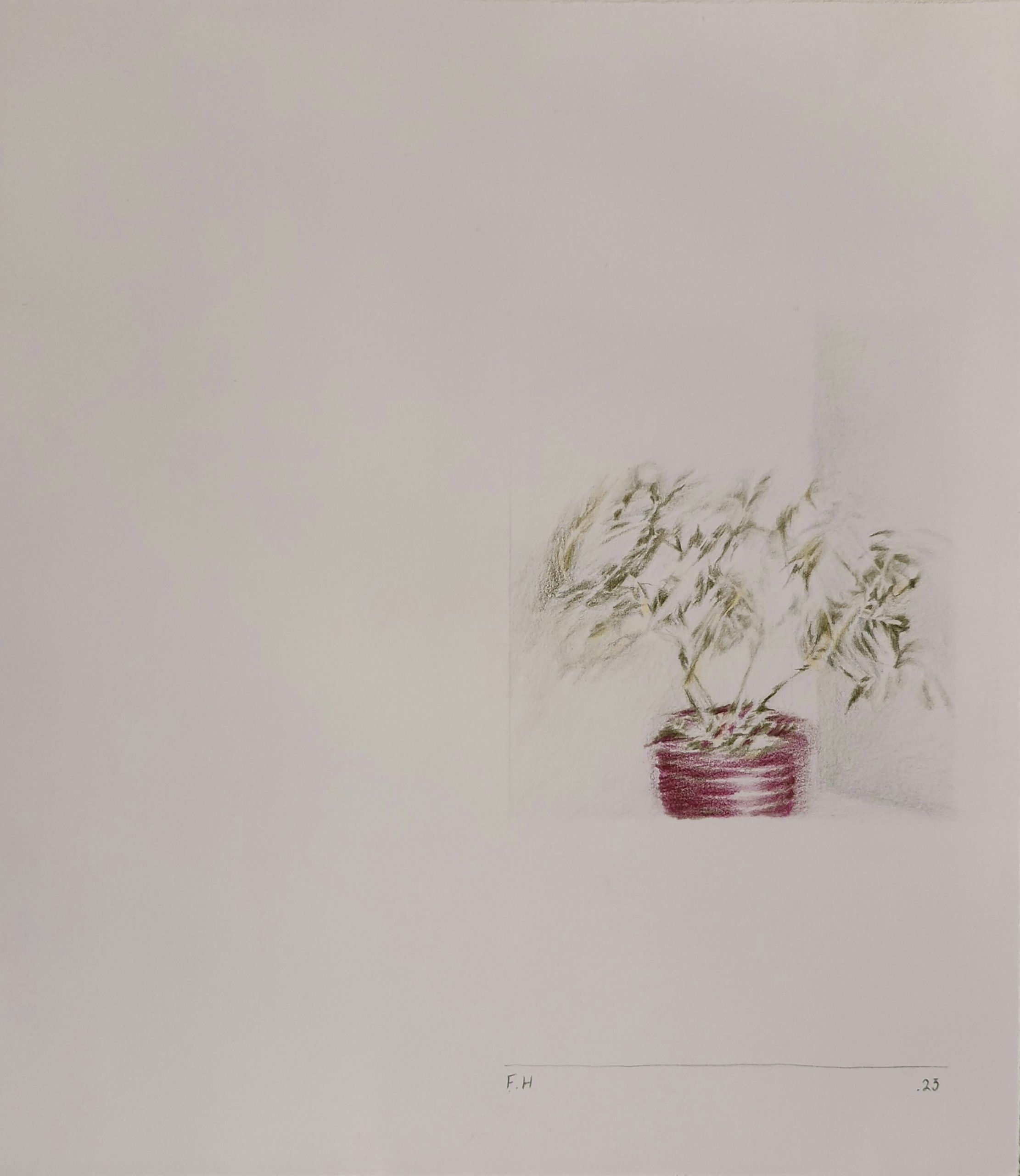 Pot — Colored pencil on cardboard, 31 × 27.5 cm, 2023