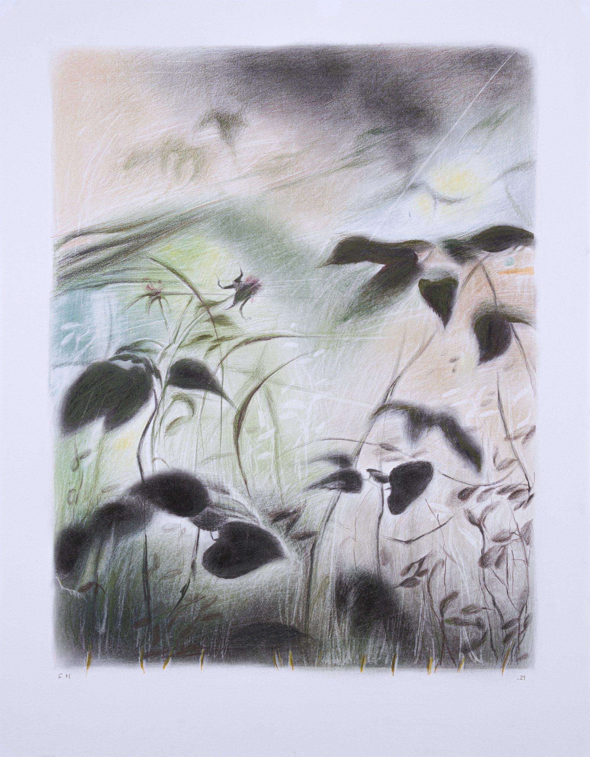 Flowers — Chalk pastel and colored pencil on cardboard, 64 × 50 cm, 2024