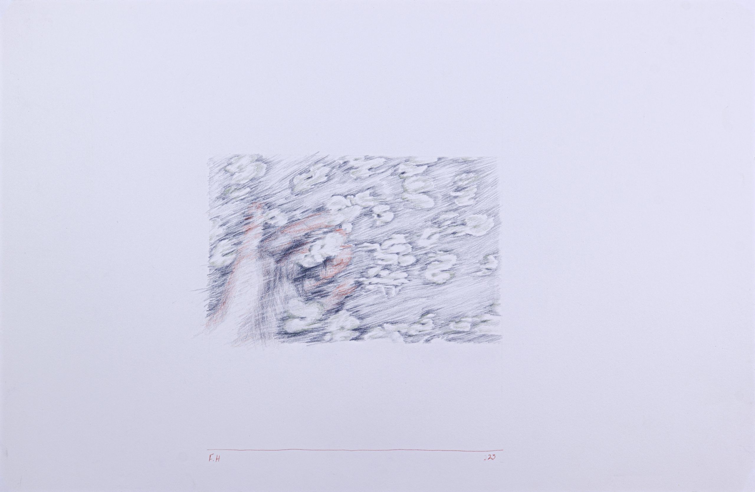 Untitled — Colored pencils on cardboard, 50 × 32.5 cm, 2023
